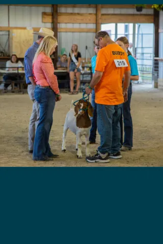 4-H members with a goat talking to a fair judge