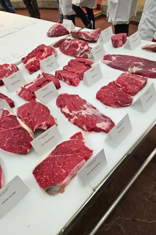 Multiple cuts of meat laid out on a table